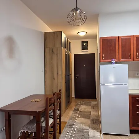 Stan Na Dan, Stari Aerodrom! Apartmán