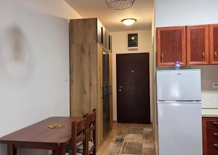 Stan Na Dan, Stari Aerodrom! Apartmán